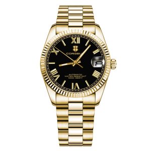 Corgeut 6002 NH35 Movement Sapphire Mirror 100m waterproof