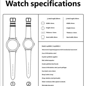 Gorgeous Jade MY25051 8215 Movement White Turquoise Dial