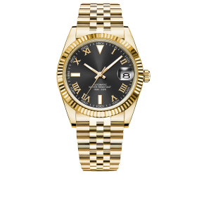 Corgeut 6002 NH35 Movement Sapphire Mirror 100m waterproof