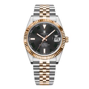 Corgeut 6002 NH35 Movement Sapphire Mirror 100m waterproof