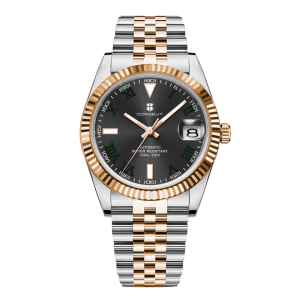 Corgeut 6002 NH35 Movement Sapphire Mirror 100m waterproof