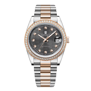 Corgeut 6002 NH35 Movement Sapphire Mirror 100m waterproof