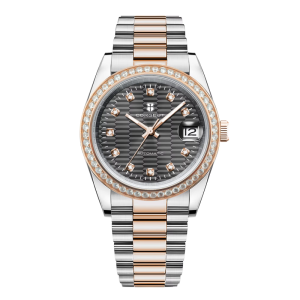 Corgeut 6002 NH35 Movement Sapphire Mirror 100m waterproof