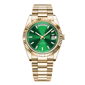 Corgeut 6002 NH36 Movement Sapphire Mirror 100m waterproof